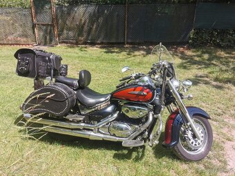 Suzuki Volusia VL 800 - 8