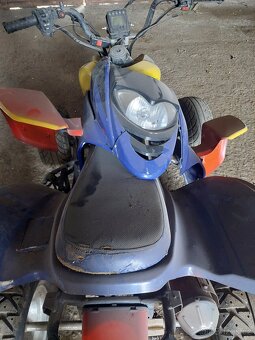 Čtyřkolka Shineray XY 250 STXE - 8