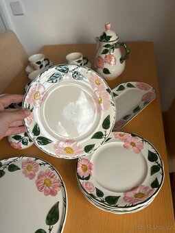 servis Villeroy & Boch Wild Rose - 8