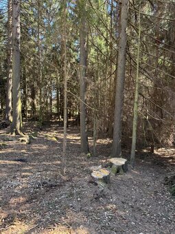 Prodám pozemky v k.ú. Horní Bolíkov Studená, okres Jindřichů - 8