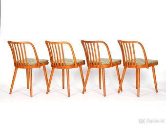 A. Šuman, přečalouněné dubové židle TON 4 kusy. - 8