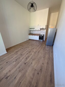 Pronájem bytu 1kk 28 m²- Ostrava-Přívoz - 8