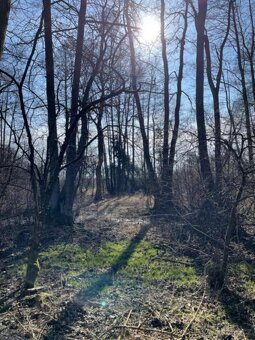 Prodám pozemky v k.ú. Starý Ples - 8