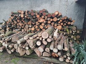 Velký vozík k přepravě, stěhování všeho - 8