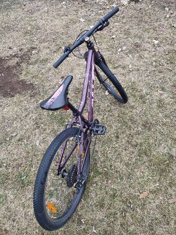 Amulet tomcat 24 - 8