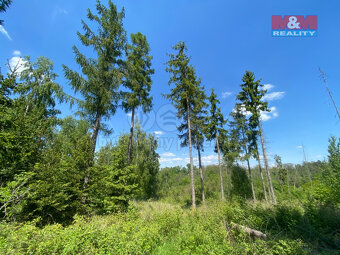 Prodej lesa, 15167 m², Kropáčova Vrutice - 8