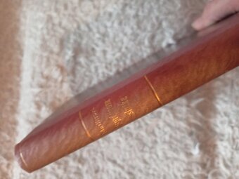 Staré knihy- Stašek, Herman,Dickens,Marlittová... - 8