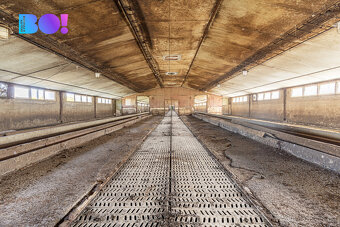 Prodej zemědělského areálu 17 219 m², Sázava - 8