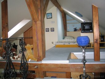 Byt u Riegrových sadů - výhled na Hradčany a okolní střechy - 8