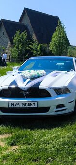 Nevěsta a ženich - ozdoba/dekorace na auto - 8