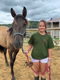 Lusitano hřebec PSL 1 a půl roku - 8