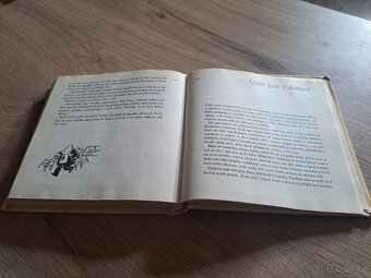 Mikulášovy patálie, René Goscinny - 8