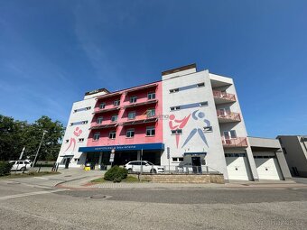 Pronájem ubytovacích prostor 1+kk, Jiráskovo nábř., České Bu - 8