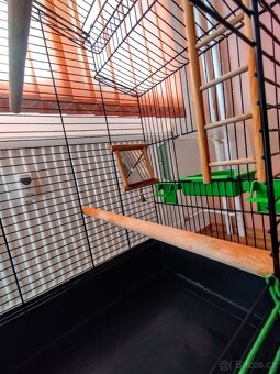 Klec na ptactvo - 8