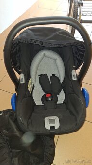 Roan Marita - 8