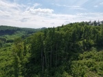 Prodej lesní pozemek, 7 184 m², Koryčany, Kroměříž - 8