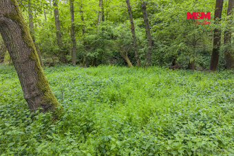 Prodej lesa, 491 m², Bohouňovice I - 8