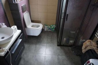 3+kk v rodinném domě - 8