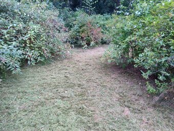 Zahrada v Zákupech - 8