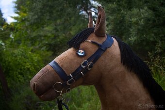 Hobby horse na prodej - 8