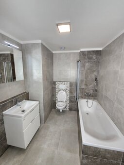 Pronájem bytu1+kk - 8