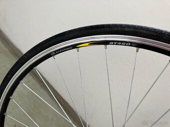 Dominator Champion pro - 8