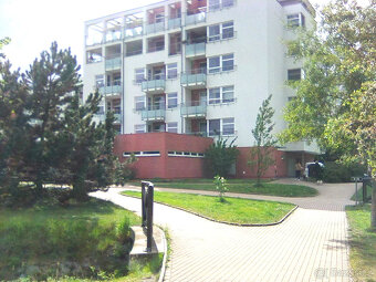 Rybova 2+kk, 56 m, Malšovice HK - 8