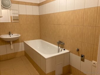 Pronájem bytu 2+1, 60 m2 - 8