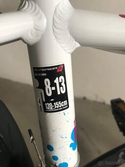Superior Paint 24 8-13 let - 8