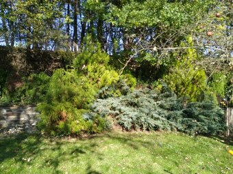 Prodej zahrady v osob. vlast., 578 [m2] s chatkou, Příbor - 8