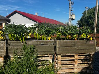 Vojenské bedny na záhonky - 8