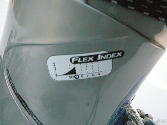 Prodám Lyžáky dámské vel. 24,5, Atomic B Ride 950 Carbon - 8