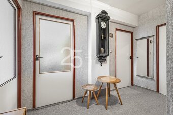 Pronájem bytu 3+1 v Mladé Boleslavi - 8