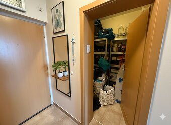 Pronájem nadstandardního bytu 3+kk s terasou a výhledem na Z - 8