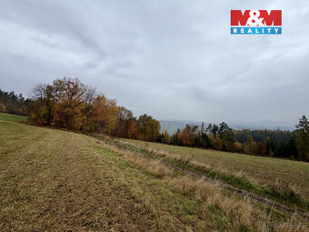 Prodej lesa, 6855 m², Jestřebí - 8