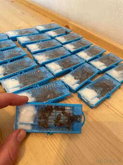 Včelí oddělky 2026 - 8