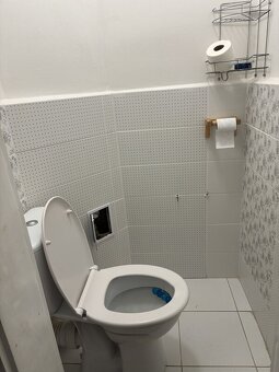 Nabízím pronájem bytu 2+1+L v Děčíně IV. - 8