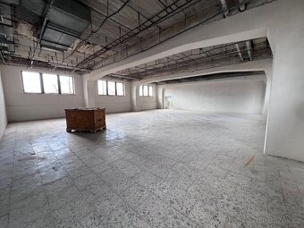 Pronájem haly 300 m² Klecany u Prahy - 8