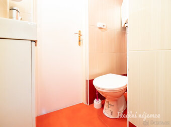 Pronájem bytu 1+kk, Orelská, Vršovice, 27 m2, 15 000 Kč / mě - 8