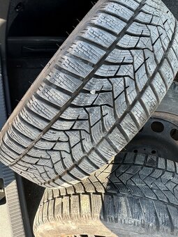 Predané Zubří - 8