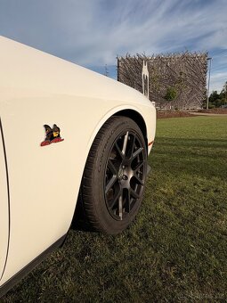 Dodge Challenger Scat Pack R/T 6.4 - 8