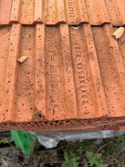 Prodám cihly wienerberger porotherm - 8