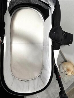 Černo-zlatý kočárek 2v1 Sojan - 8