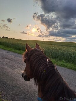 Ježdění/ docházka - 8