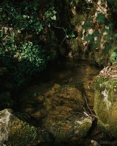 Canon FL 50mm f1.4 (Canon FD bajonet) - 8
