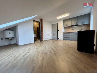 Pronájem bytu 1+kk, 24 m², v Klatovech, Luby - 8