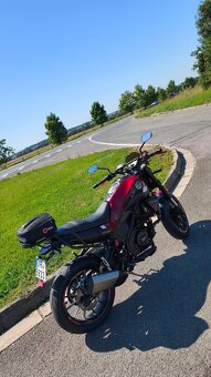 Benelli Leoncino 250 - top stav, naj. 6500 km - 8