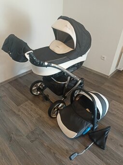 Camarelo alicante - 8