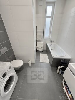 Pronájem bytu 1+1 45 m², se zahradou 100 m² - Mělník - 8