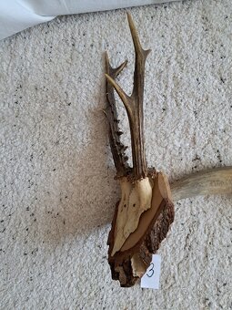 různé starožitné věci - 8